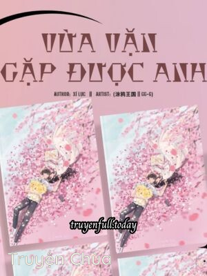 Vừa Vặn Gặp Được Anh – Xí Lục